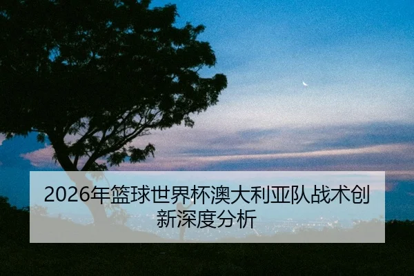 nian-lan-qiu-shi-jie-bei-ao-da-li-ya-dui-zhan-shu-chuang-xin-shen-du-fen-xi-2-732.jpg