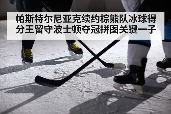 帕斯特尔尼亚克续约棕熊队冰球得分王留守波士顿夺冠拼图关键一子
